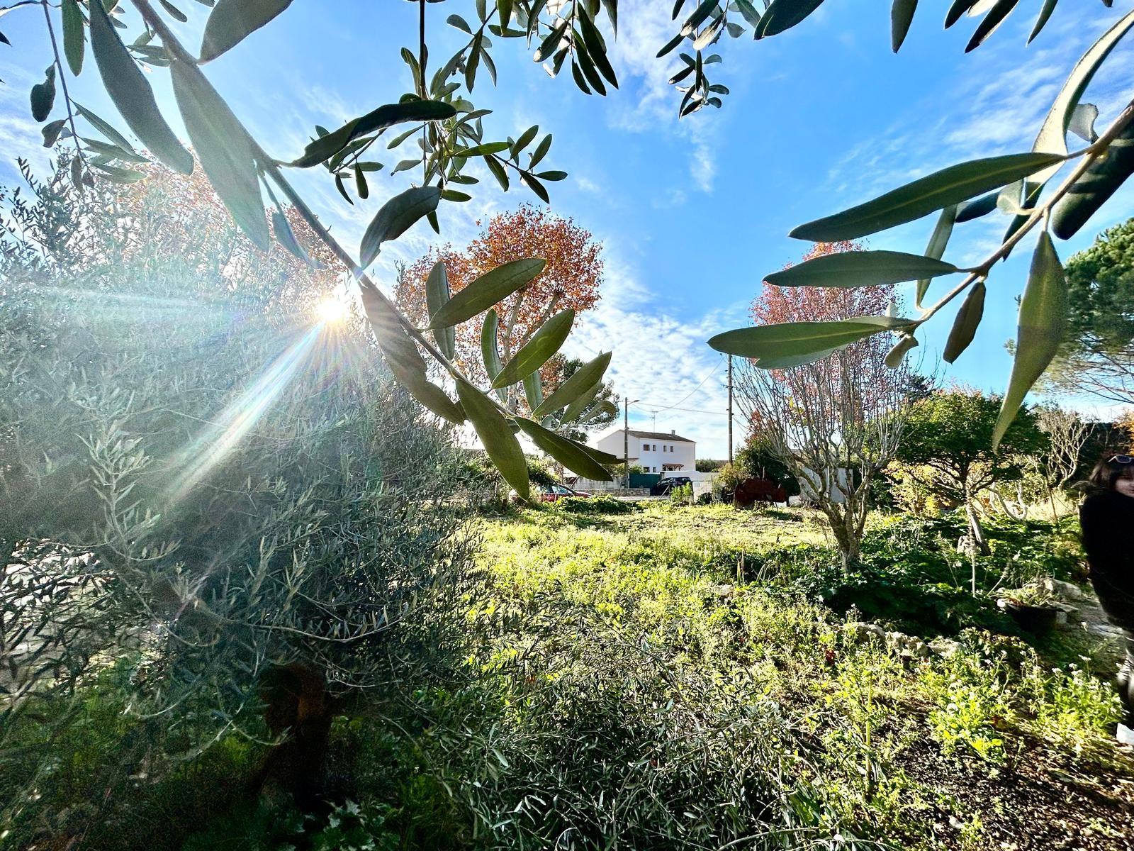 Agence immobilière de STARTGO