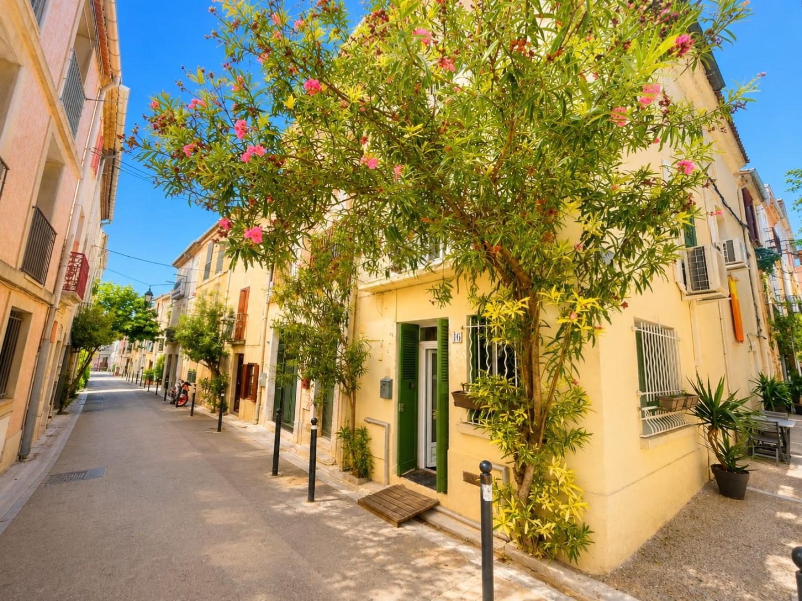 Agence immobilière de STARTGO