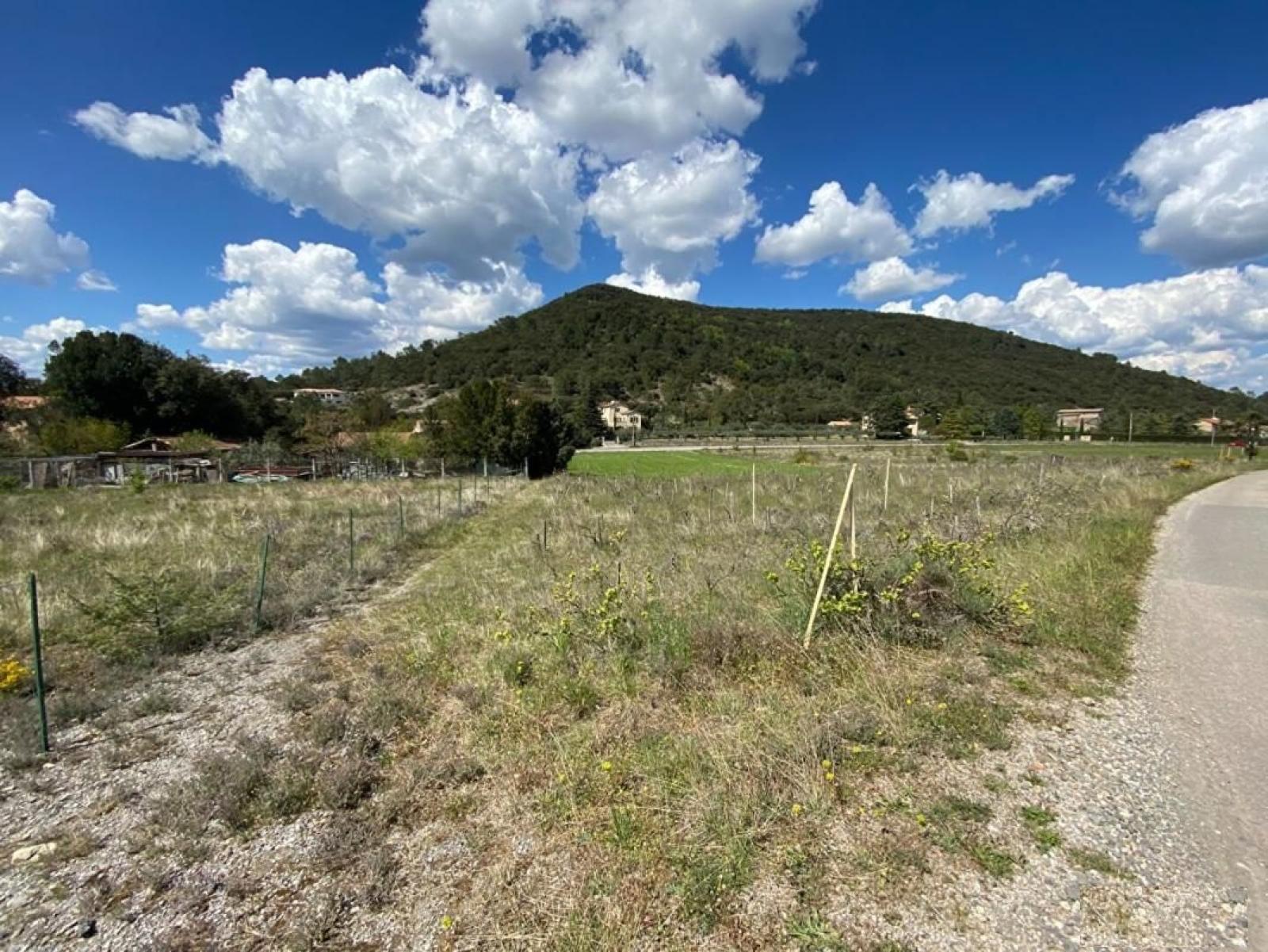 Agence immobilière de STARTGO MONTPELLIER