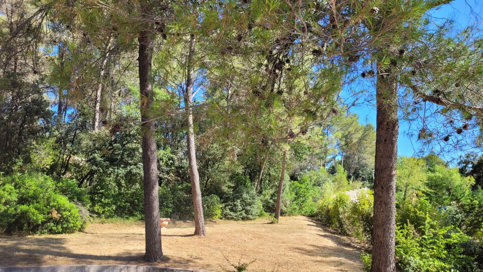 Agence immobilière de FIPIMMO