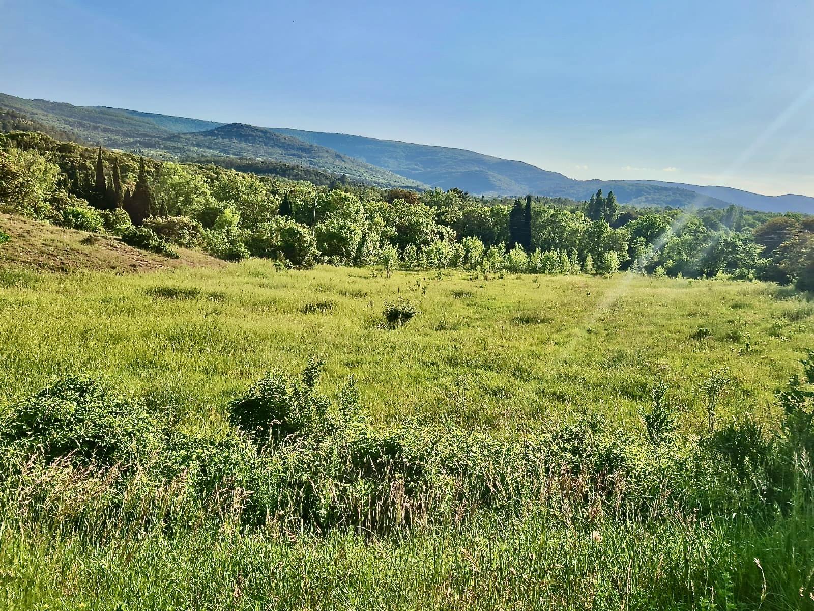 Agence immobilière de SAS CHAUMOND IMMO