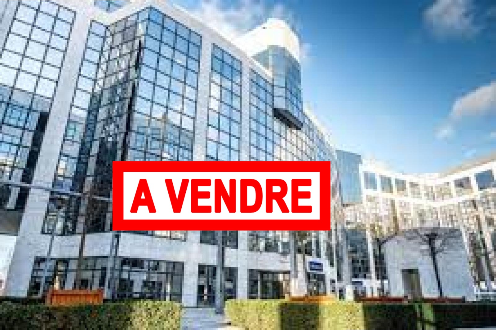 Agence immobilière de ALLIANCE PATRIMOINE PARIS NORMANDIE