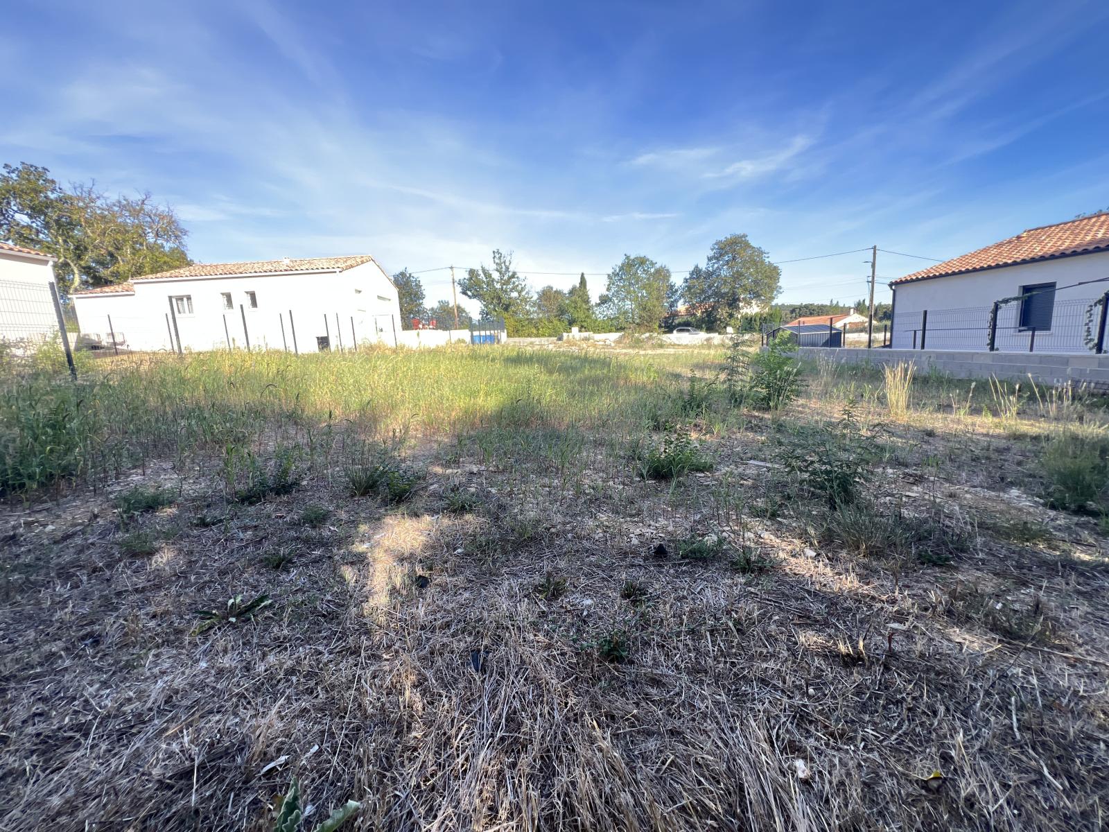Agence immobilière de Marion Bassot Immo